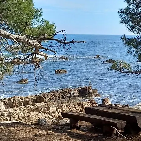 Villa Tous A La Piscine Au Belvedere Vue Saint-Raphael (Var)